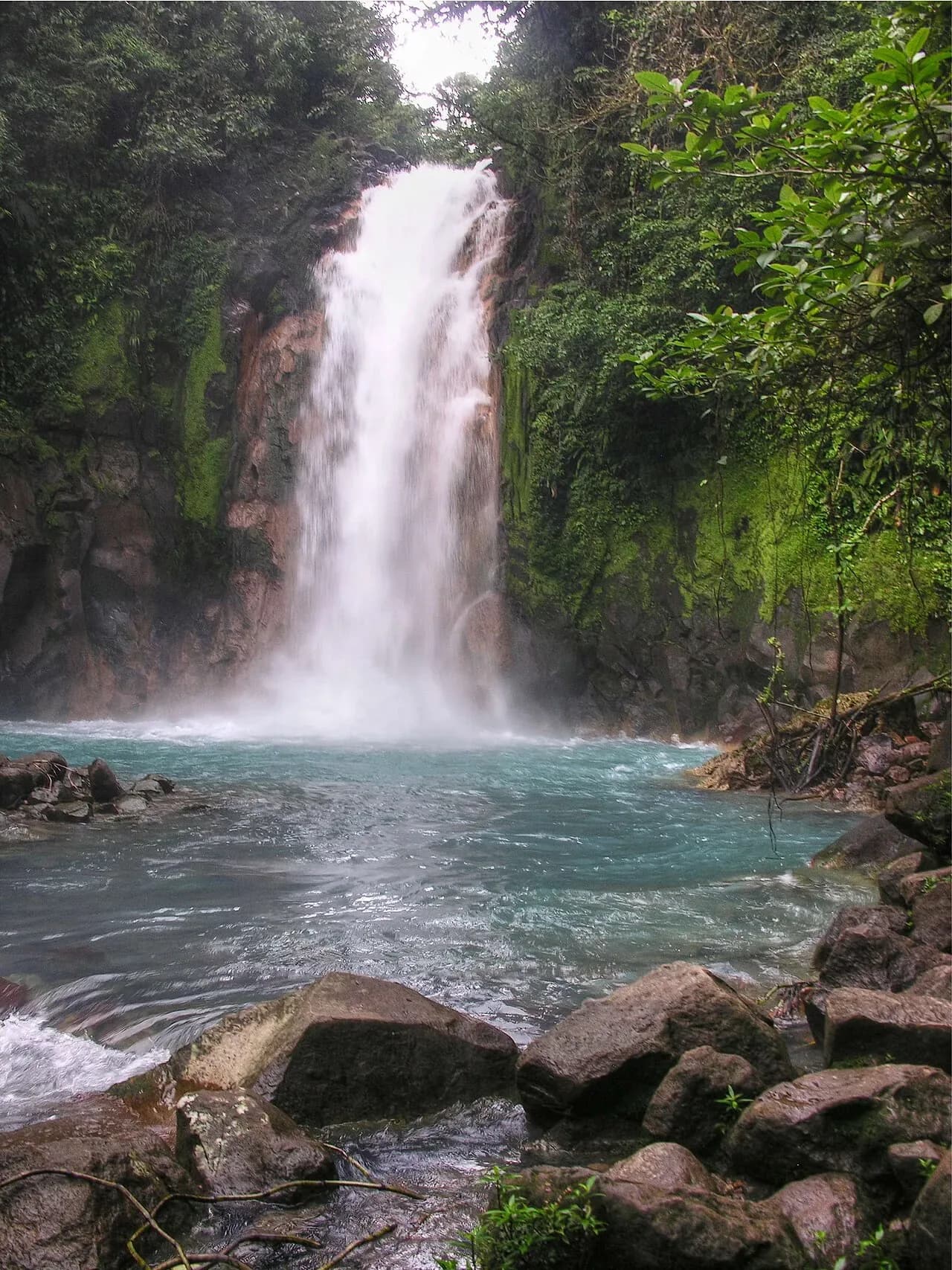 Rio Celeste Rainforest Hike
