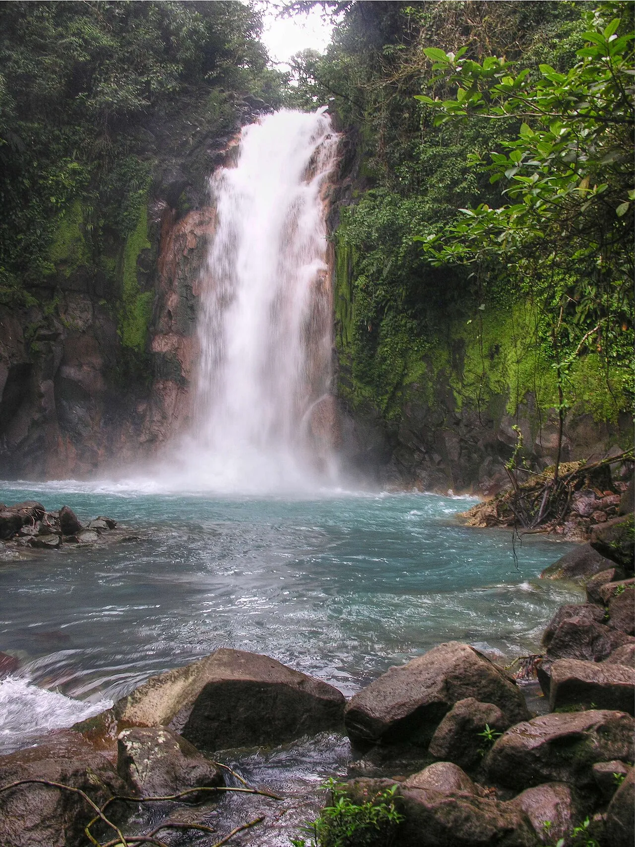 Rio Celeste Rainforest Hike