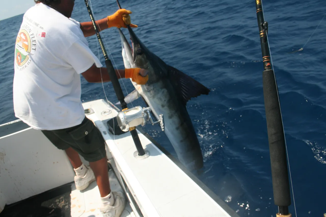 Sport Fishing Charter