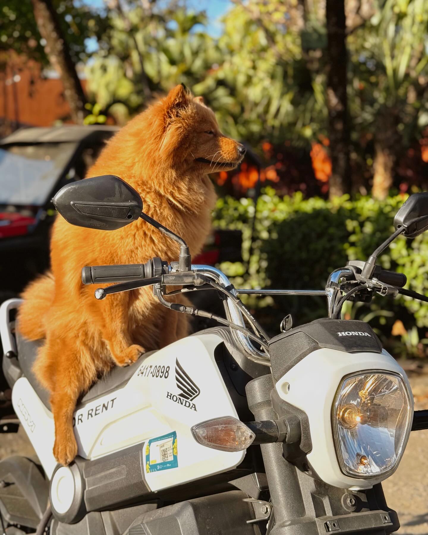 Lilo riding in Tamarindo